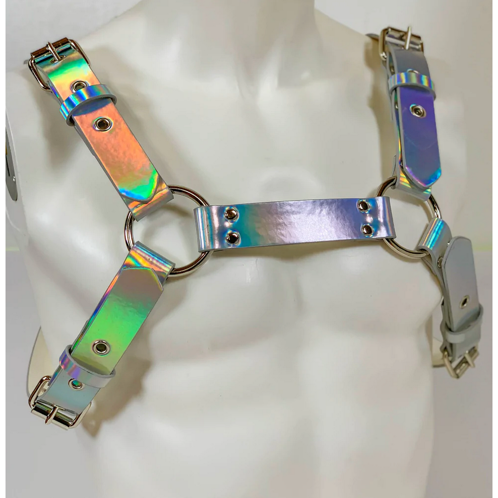 Rainbow Silver Bulldog Harness