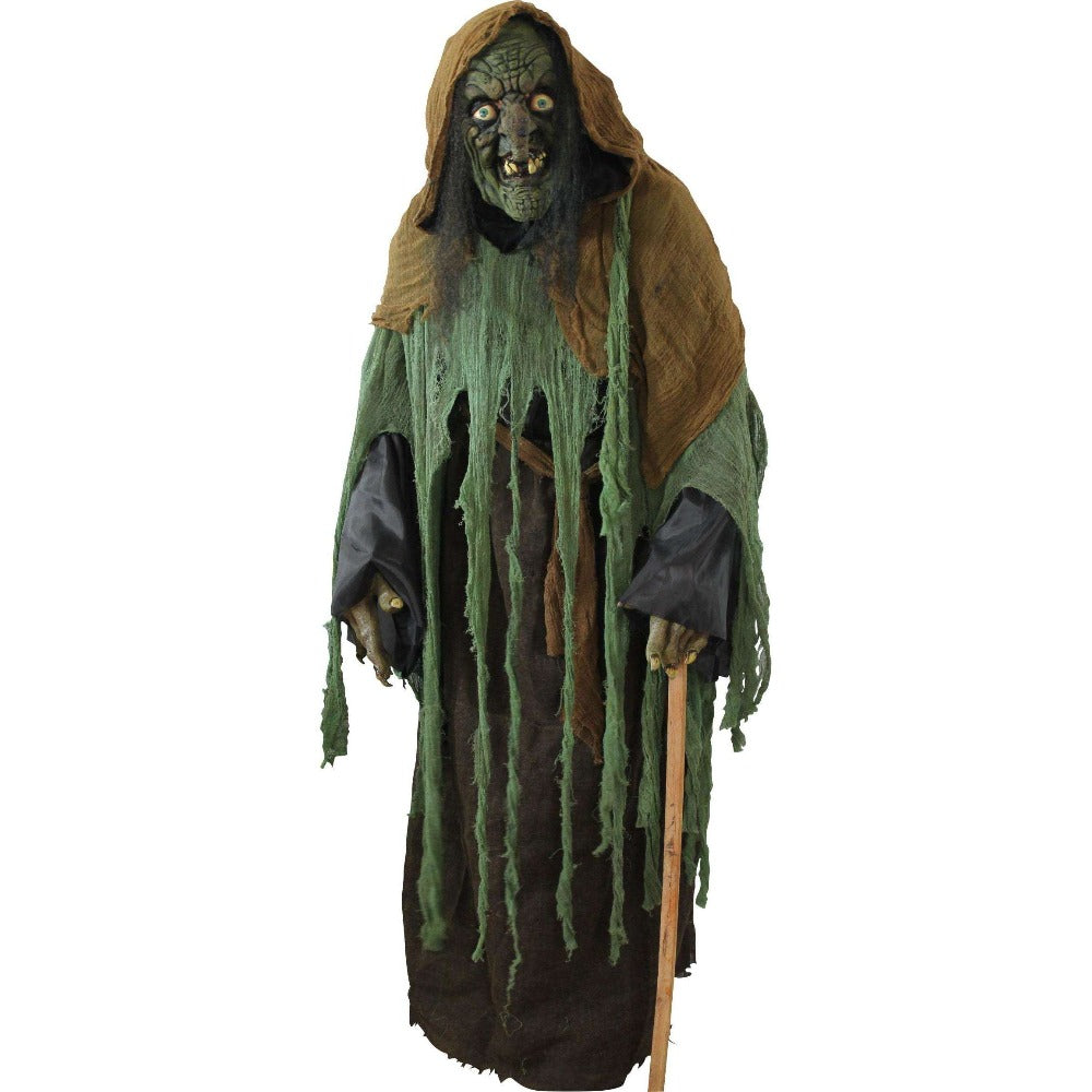 Horrible Wicked Swamp Witch Costume