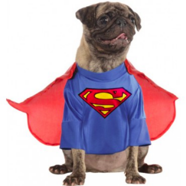 DC Universe Superman Pet Costume w/ Attached Cape