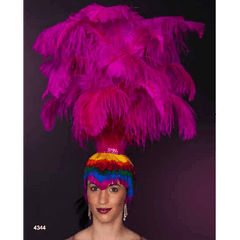 Ostrich Headpiece with Multicolor Goose Wig