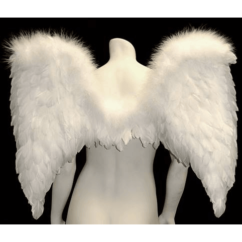 White Medium Goose Wings