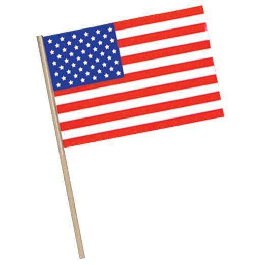 11” x 17” Plastic American Flag