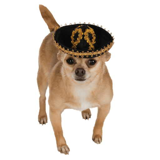 Minature Pet Sombrero