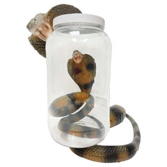 Cobra Specimen Jar