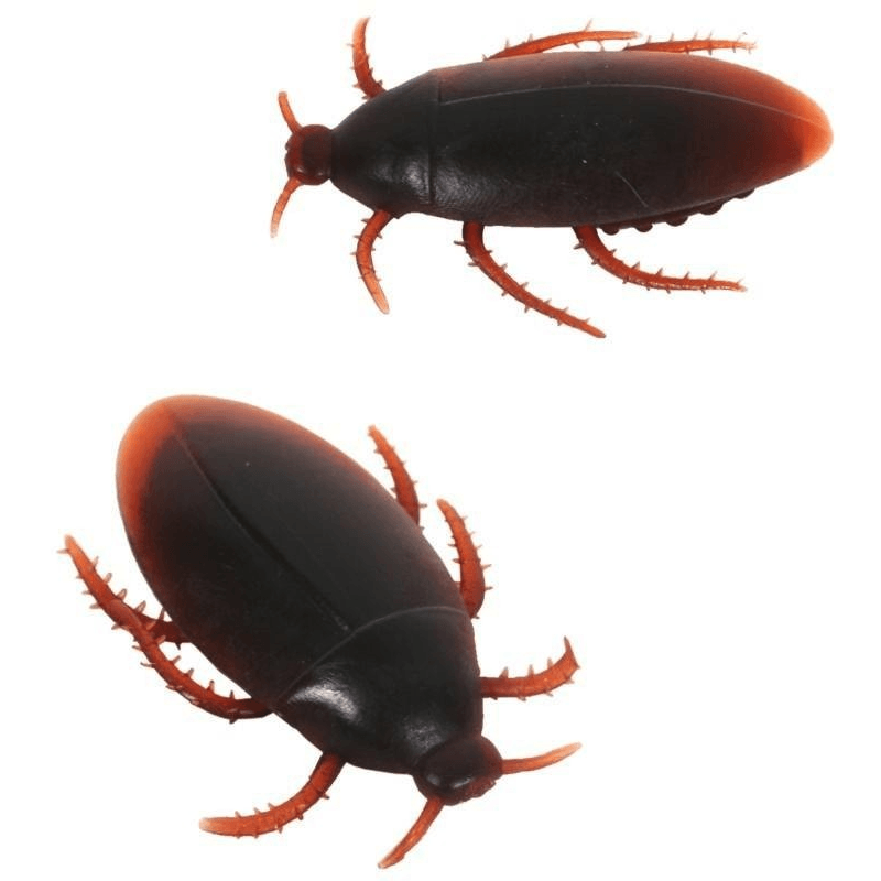 Realistic Fake Cockroach