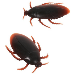 Realistic Fake Cockroach