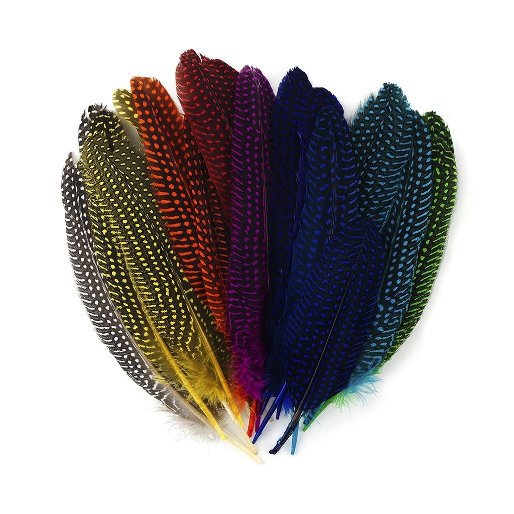 Assorted Guinea Rounds Feathers
