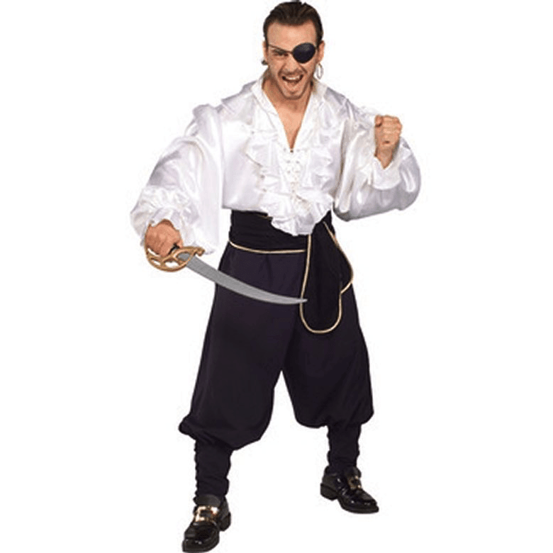 Seven Seas Swashbuckler Pirate Adult Costume