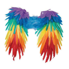 Rainbow Wings