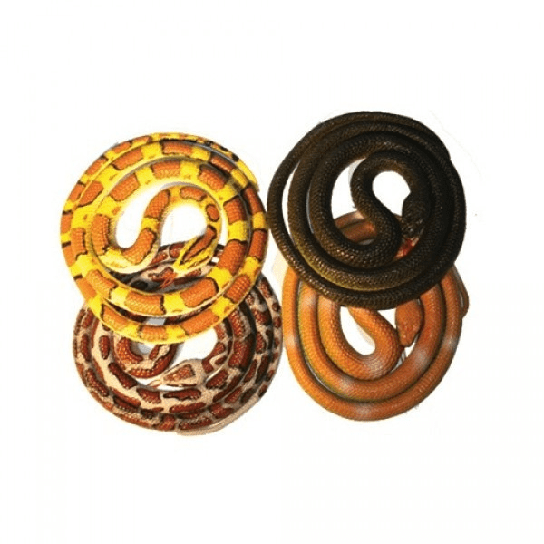 Assorted 66 inch Coil Snakes