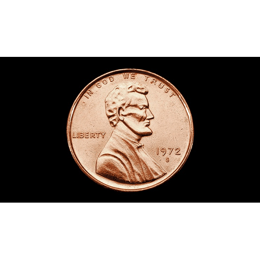Jumbo Plastic Penny (Brown)