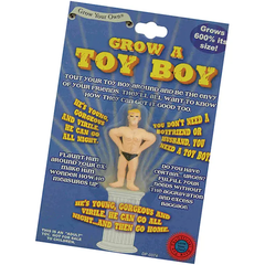 Grow a Toy Boy