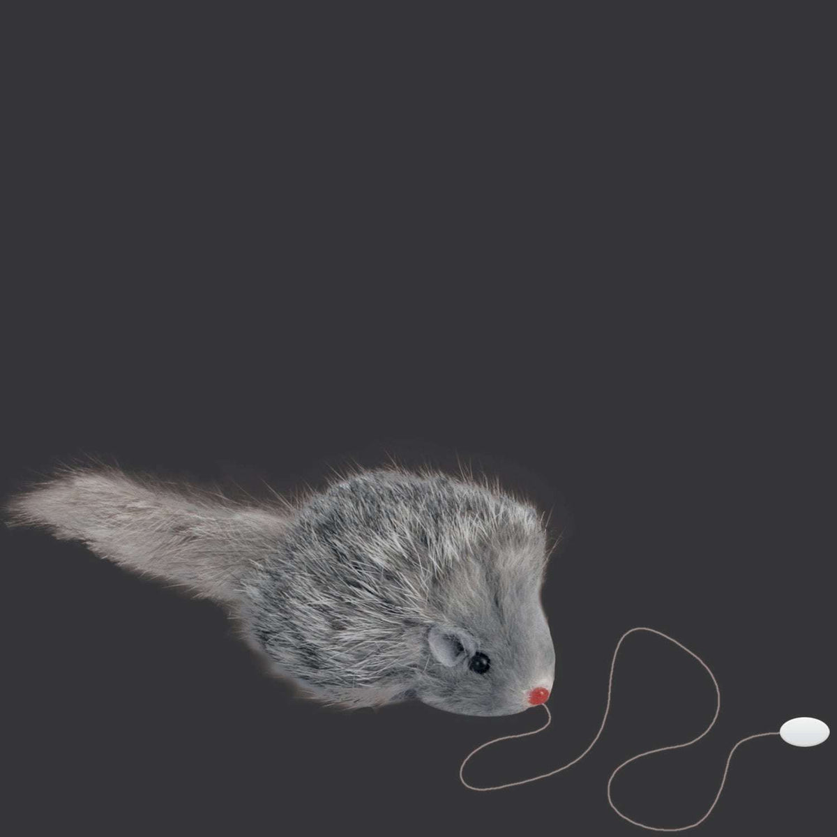 Mouse Attack Mouse on String Prank – AbracadabraNYC