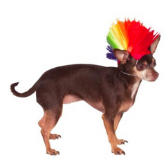 Rainbow Mohawk Wig for Pets