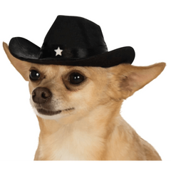 Black Pet Cowboy Hat