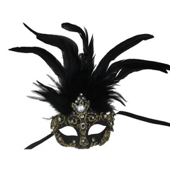 Venetian Mask with Lace and Feathers