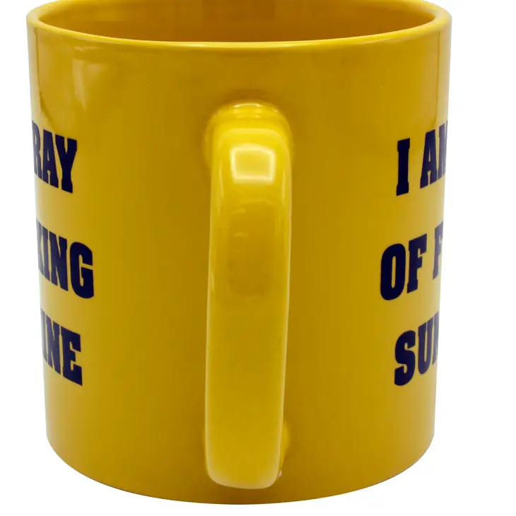 I'm a Ray of F***ing Sunshine Giant Mug