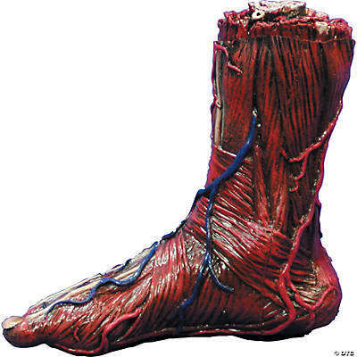 Skinned Right Foot Prop – AbracadabraNYC