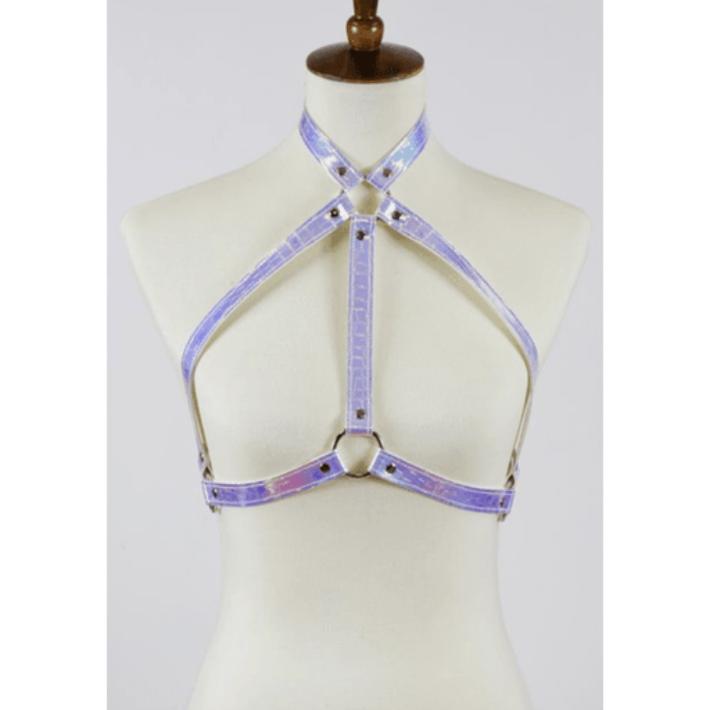 Silver Rainbow Fitted Harness