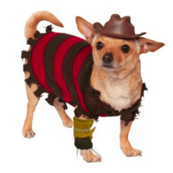 A Nightmare On Elm Street Freddy Krueger Dog Costume w/ Hat