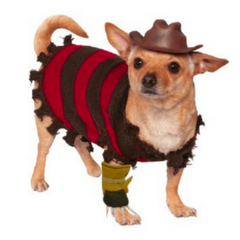 A Nightmare On Elm Street Freddy Krueger Dog Costume w/ Hat