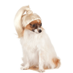 High Blonde Ponytail Small Dog Costume Wig