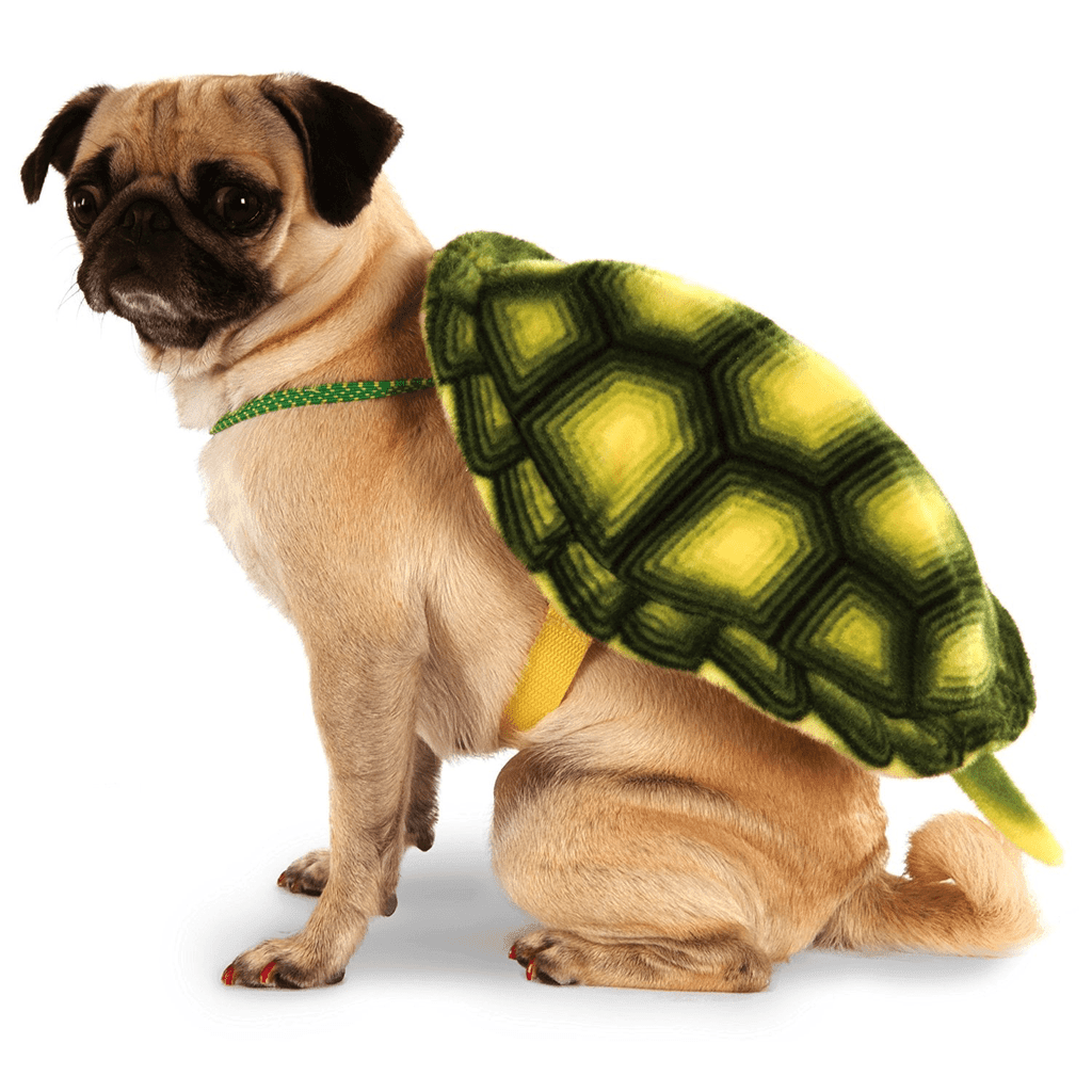 Turtle Shell Backpack for Pets