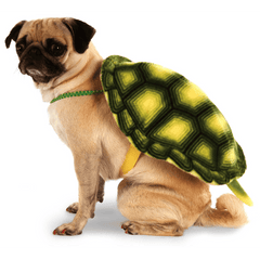 Turtle Shell Backpack for Pets
