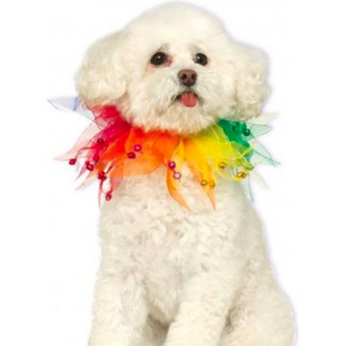 Rainbow Fancy Collar for Pets