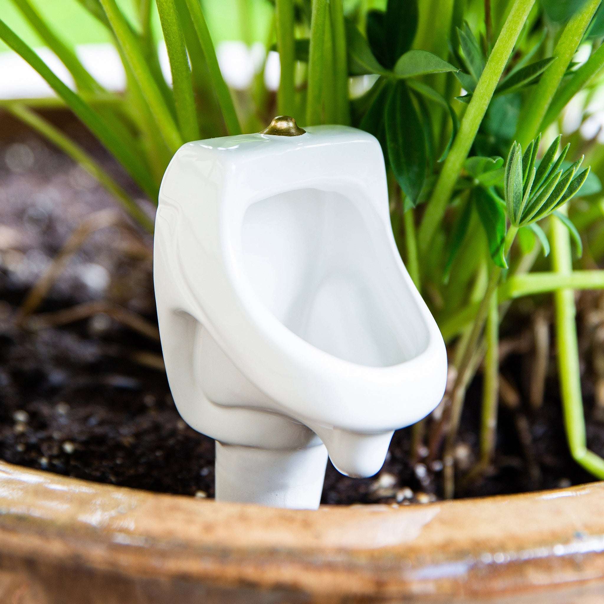 Urinal Watering Plant Stake