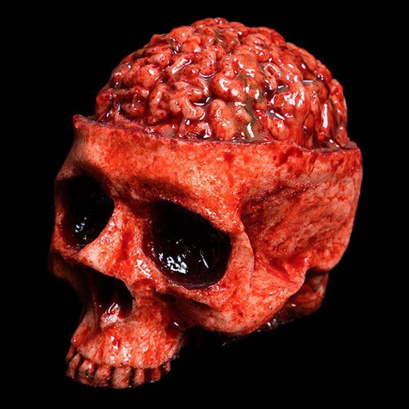 Bloody Skull Brain Prop