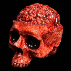 Bloody Skull Brain Prop
