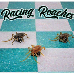 Racing Roach Pull Toy Prank