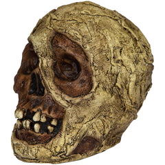 Mummy Skull Prop