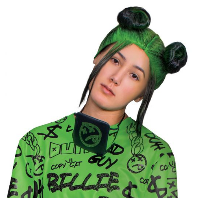 Billie Eilish Double Bun Black and Green Wig