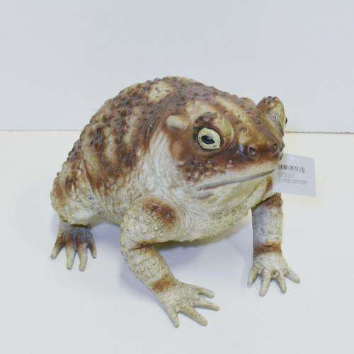 8" Foam Latex Toad Prop