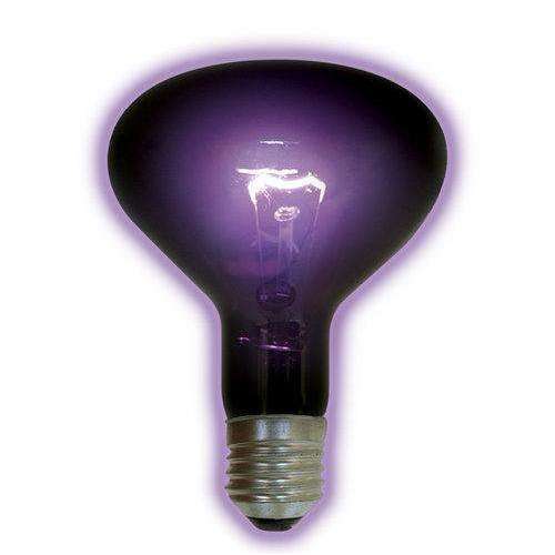 100W Mushroom Black Light Bulb