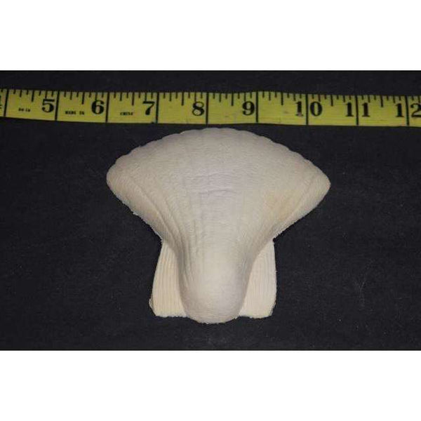 Shell Merkin Foam Latex Prosthetic – AbracadabraNYC