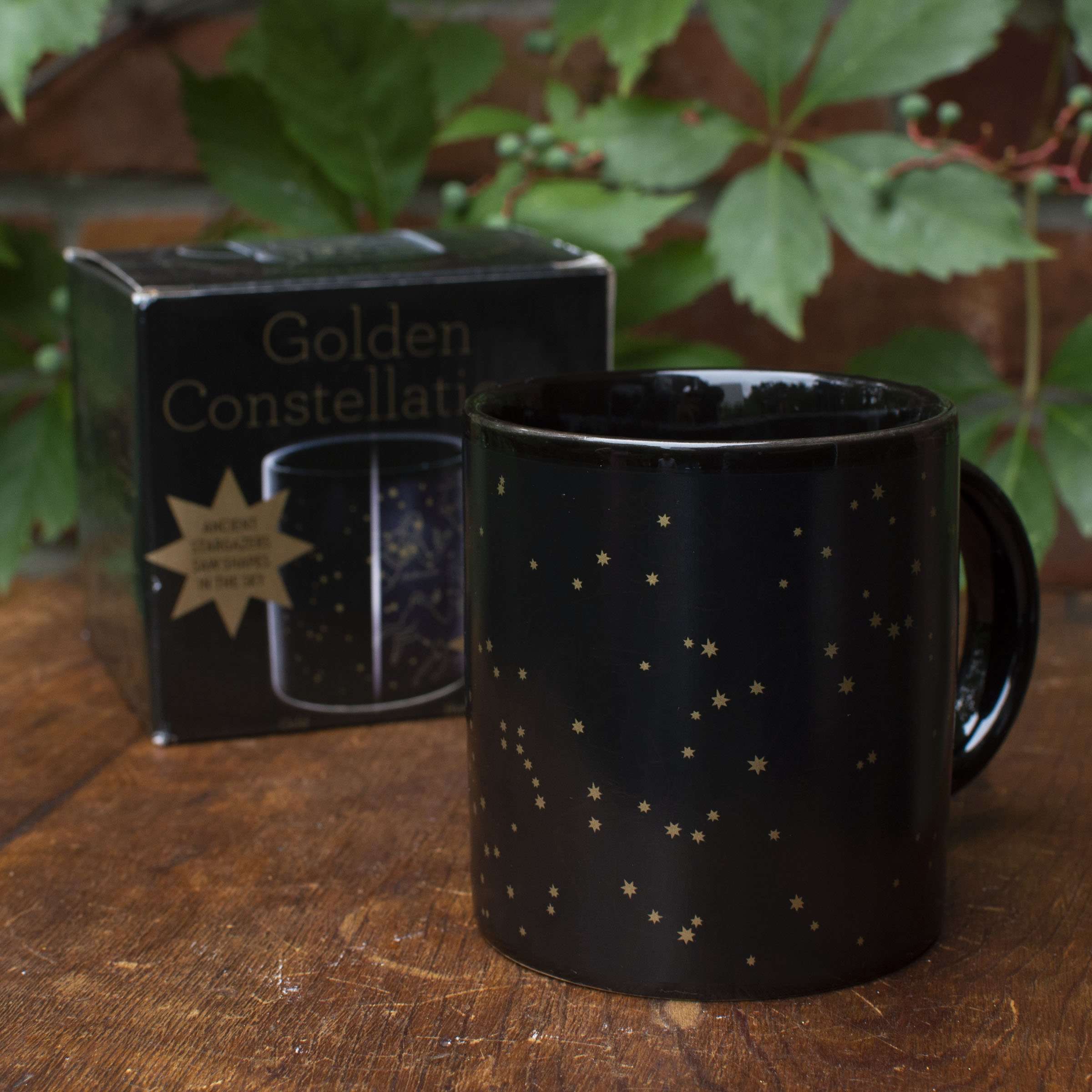 Constellation Heat Change Mug