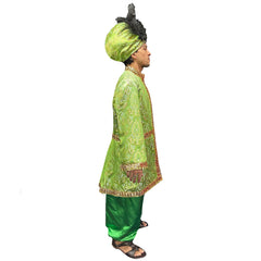 International Enchanting Green Sultan Adult Costume