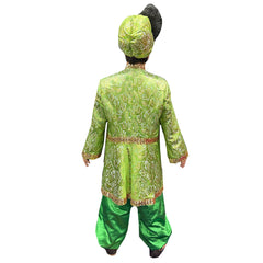 International Enchanting Green Sultan Adult Costume
