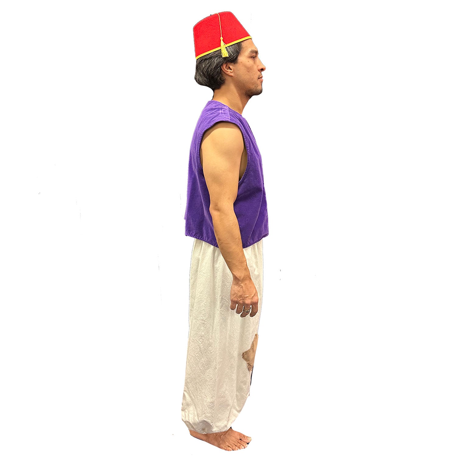 Premium Aladdin Inspired Adult Costume