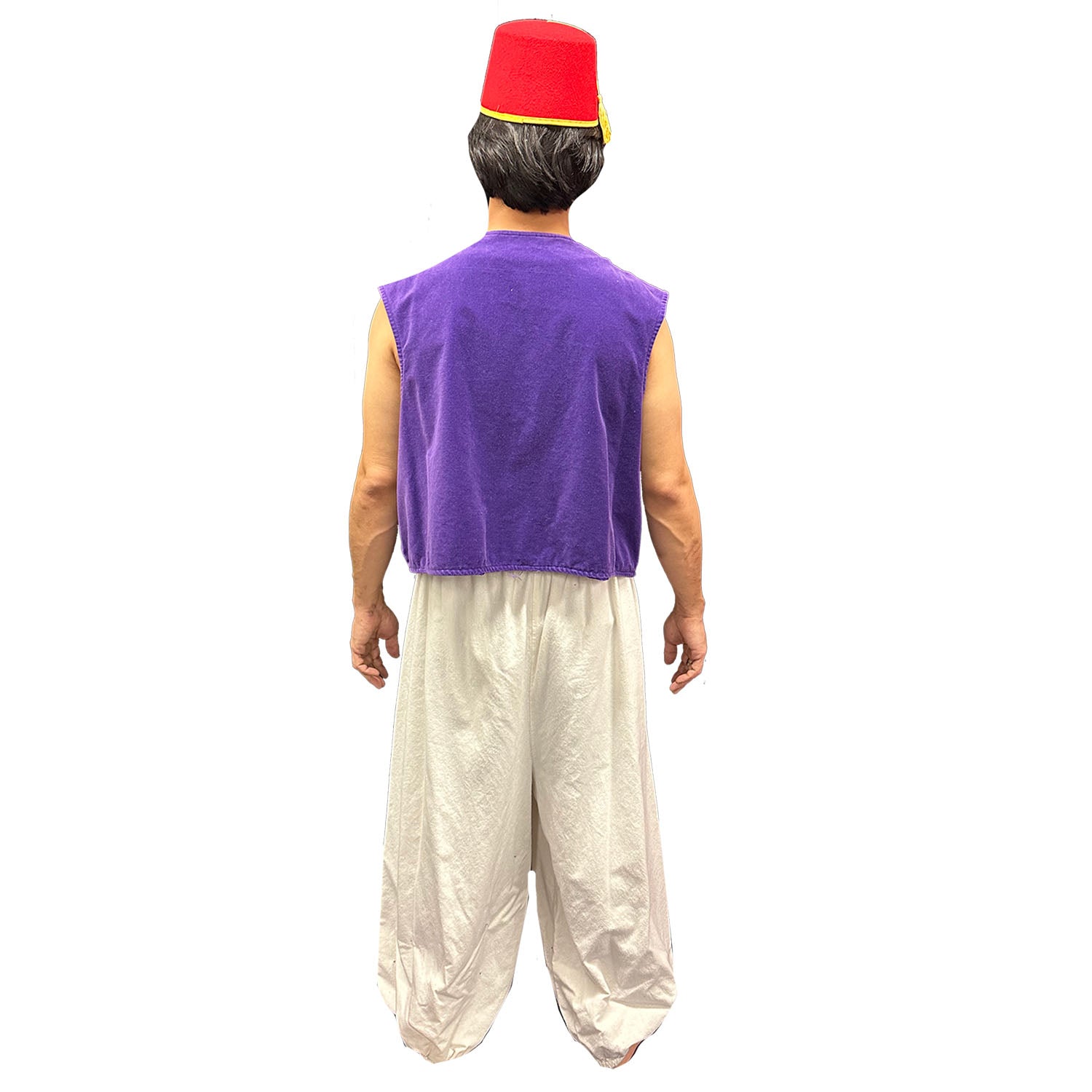 Premium Aladdin Inspired Adult Costume – AbracadabraNYC
