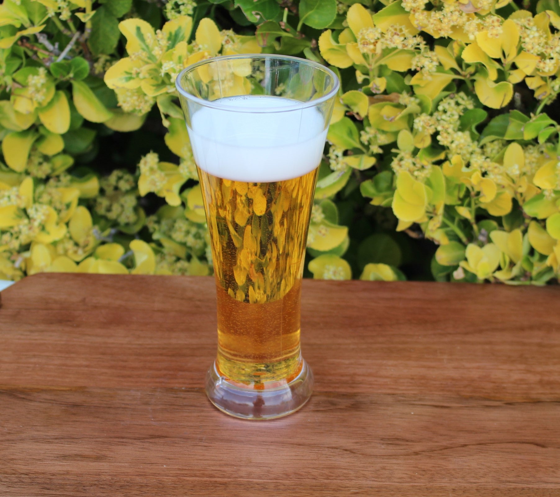 Fake Pint of Beer In Pilsner Glass w/ Foam Prop