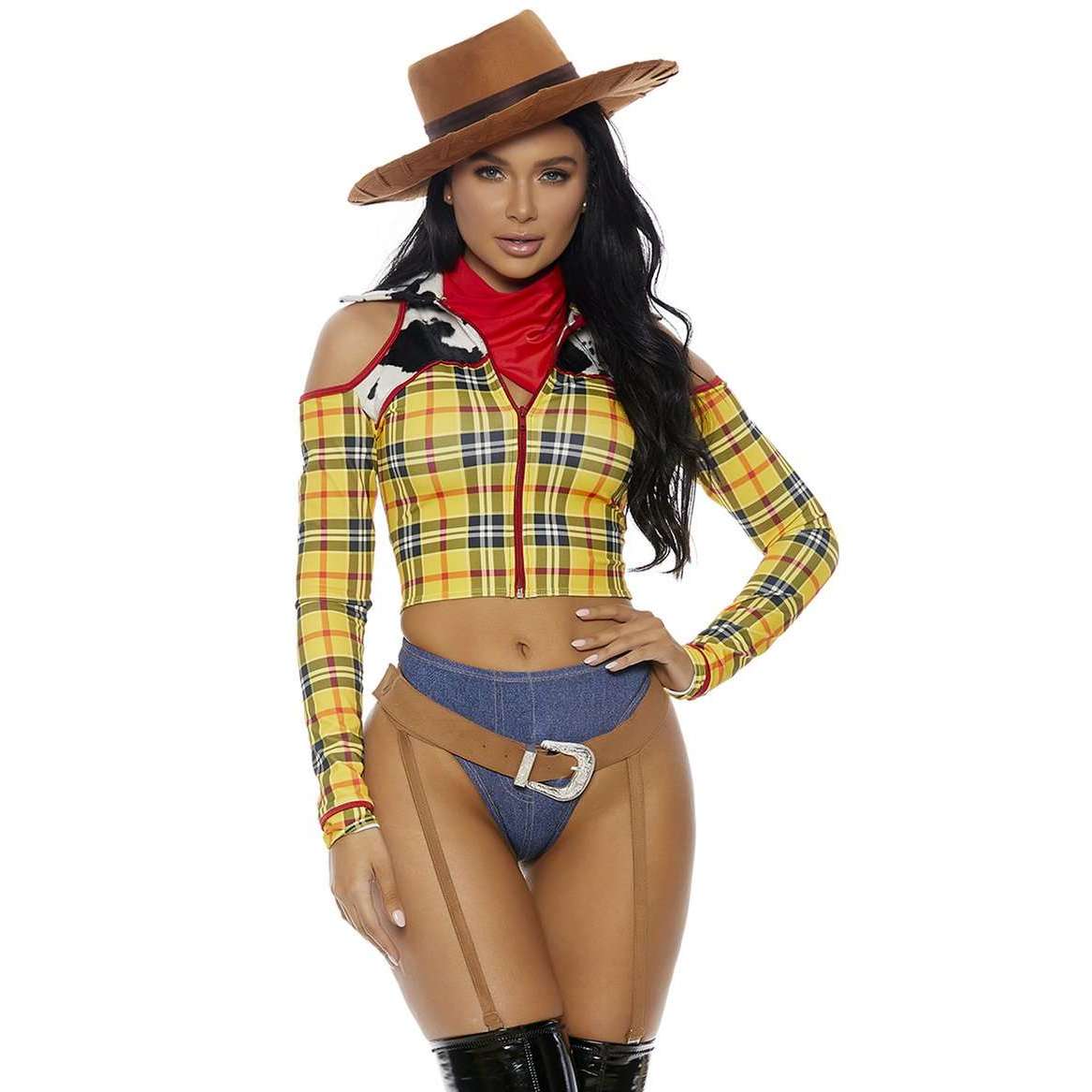 Playtime Sheriff Sexy Women's Cowboy Movie Character Adult Costume