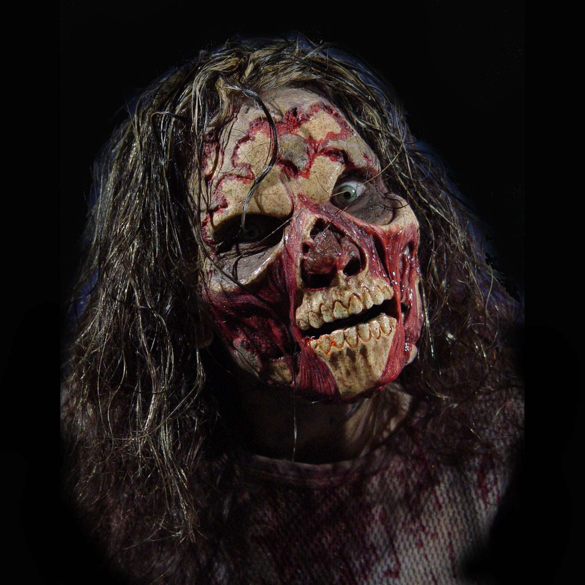 FX Faces Zombie Decayed Foam Latex Prosthetic