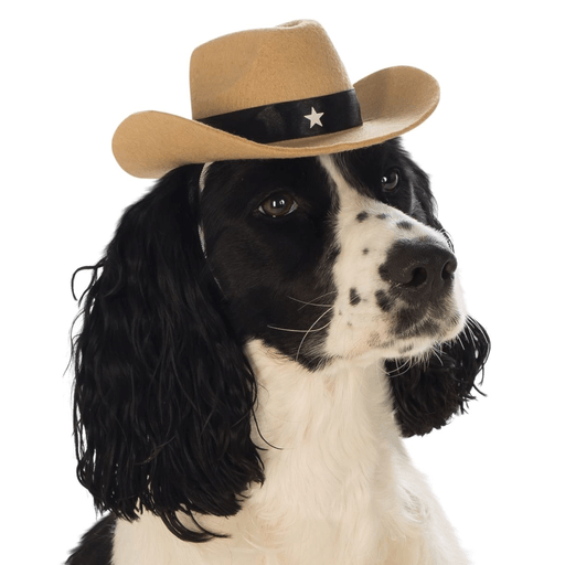 Brown Pet Cowboy Hat