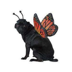Monarch Butterfly Wings Dog Costume w/ Harness and Heaband