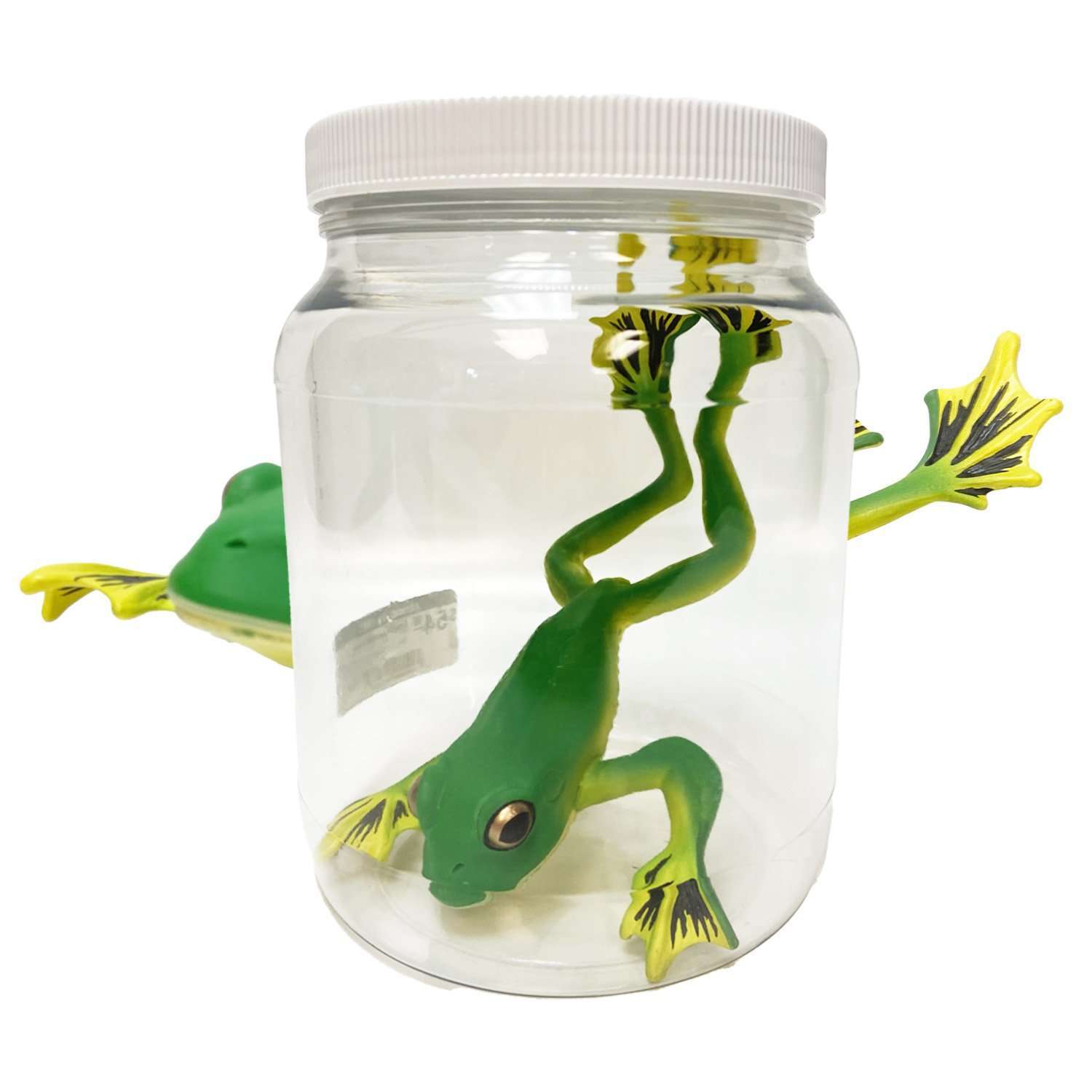 Frog Ranch Jar Frog Specimen Jar – AbracadabraNYC