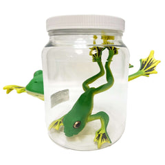Frog Specimen Jar